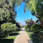 Bed & Breakfast Palm Bungalow