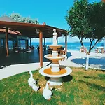 Bed & Breakfast Palm Bungalow *