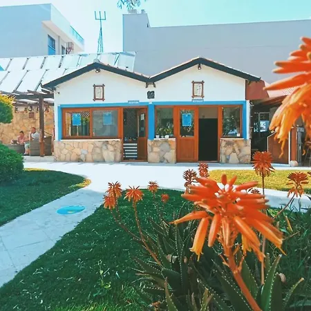 Palm Bungalow