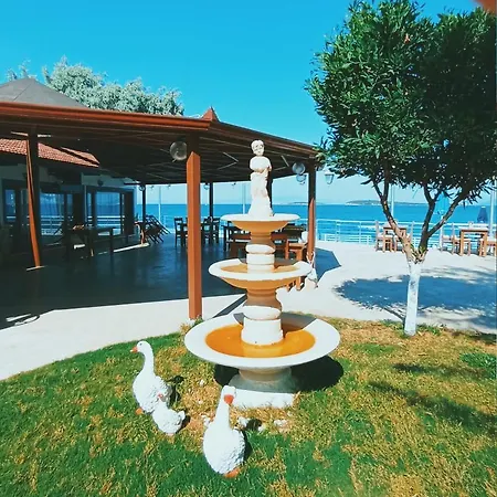 住宿加早餐酒店 Palm Bungalow *